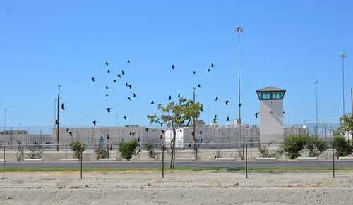 California Voters Pass Historic Mass Incarceration Reform