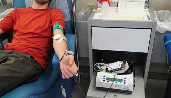 FDA Lifting Lifetime Ban on Gay Blood Donors