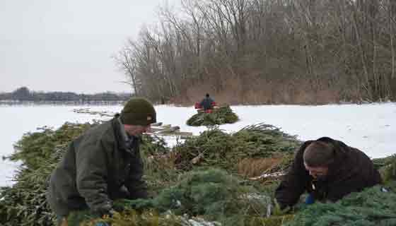 Christmas Tree Pickup and Drop Off Begins in South Bend